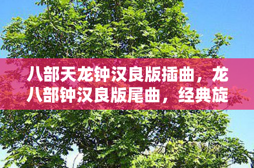 八部天龙钟汉良版插曲，龙八部钟汉良版尾曲，经典旋律的永恒回响