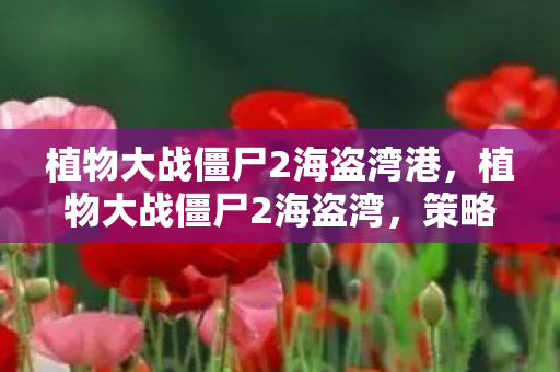 植物大战僵尸2海盗湾港，植物大战僵尸2海盗湾，策略与冒险的完美结合