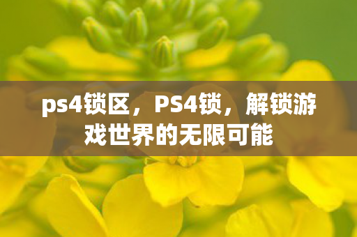 ps4锁区，PS4锁，解锁游戏世界的无限可能
