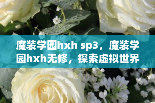 魔装学园hxh sp3，魔装学园hxh无修，探索虚拟世界的无限可能