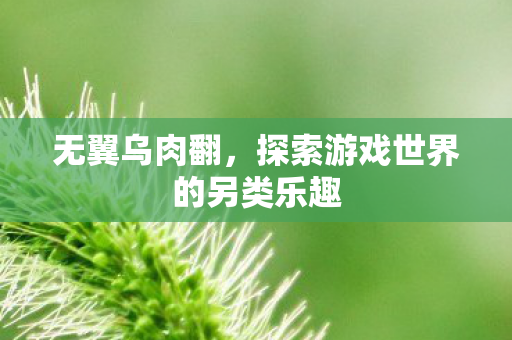 无翼乌肉翻，探索游戏世界的另类乐趣