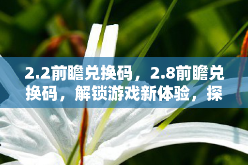 2.2前瞻兑换码，2.8前瞻兑换码，解锁游戏新体验，探索未知世界