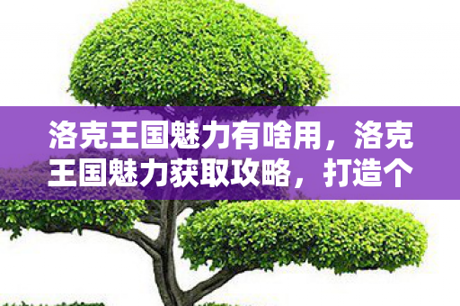 洛克王国魅力有啥用，洛克王国魅力获取攻略，打造个人魅力，赢取丰厚奖励