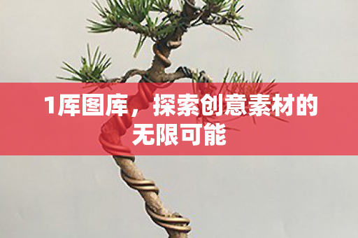 1厍图库，探索创意素材的无限可能