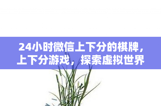 24小时微信上下分的棋牌，上下分游戏，探索虚拟世界的财富与乐趣
