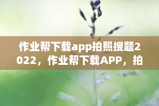 作业帮下载app拍照搜题2022，作业帮下载APP，拍照搜题，学习新体验