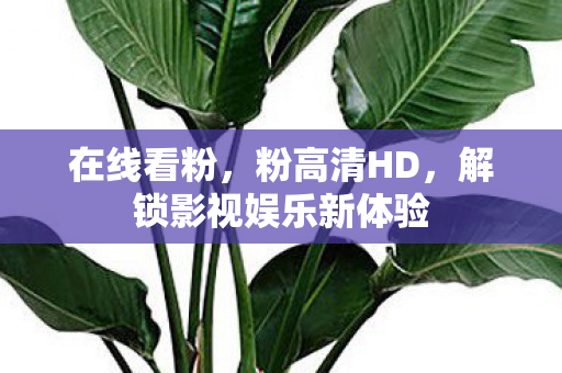 在线看粉，粉高清HD，解锁影视娱乐新体验
