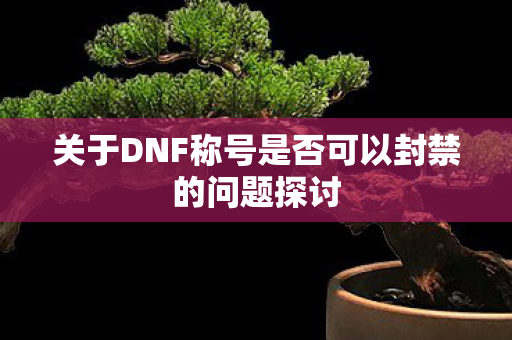 关于DNF称号是否可以封禁的问题探讨