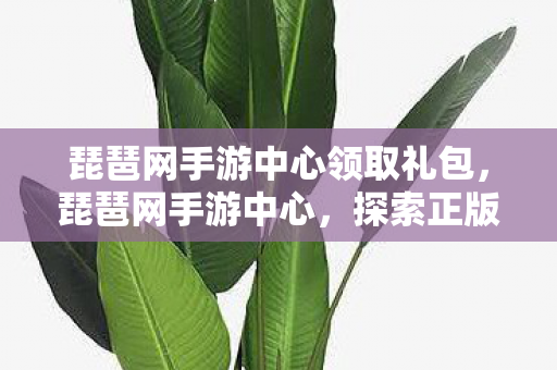 琵琶网手游中心领取礼包，琵琶网手游中心，探索正版手游的无限可能