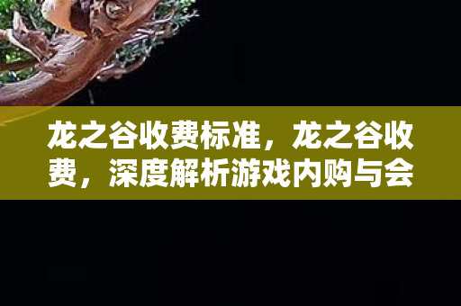 龙之谷收费标准，龙之谷收费，深度解析游戏内购与会员制度