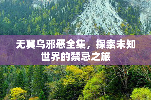 无翼乌邪恶全集，探索未知世界的禁忌之旅