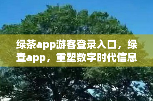 绿茶app游客登录入口，绿查app，重塑数字时代信息安全的守护者