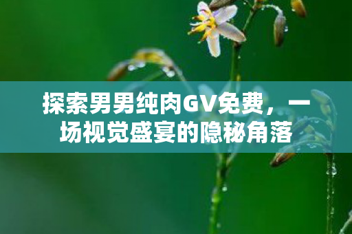 探索男男纯肉GV免费，一场视觉盛宴的隐秘角落