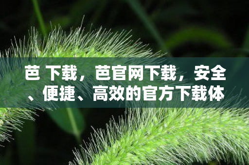 芭 下载，芭官网下载，安全、便捷、高效的官方下载体验