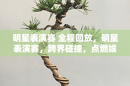 明星表演赛 全程回放，明星表演赛，跨界碰撞，点燃娱乐新火花