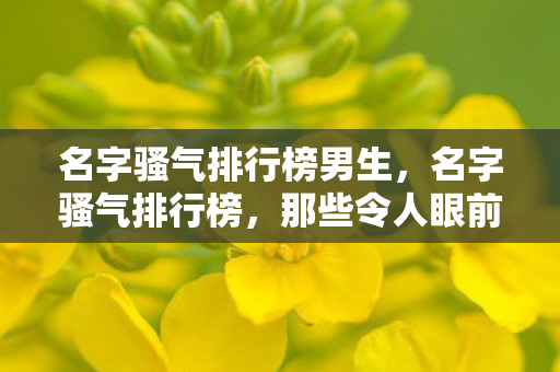 名字骚气排行榜男生，名字骚气排行榜，那些令人眼前一亮的游戏昵称