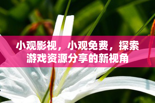 小观影视，小观免费，探索游戏资源分享的新视角