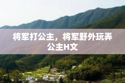 将军打公主，将军野外玩弄公主H文
