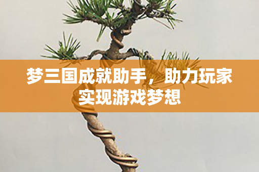 梦三国成就助手，助力玩家实现游戏梦想