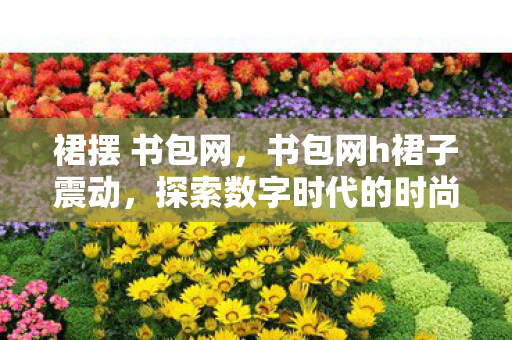裙摆 书包网，书包网h裙子震动，探索数字时代的时尚潮流