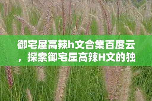 御宅屋高辣h文合集百度云，探索御宅屋高辣H文的独特魅力
