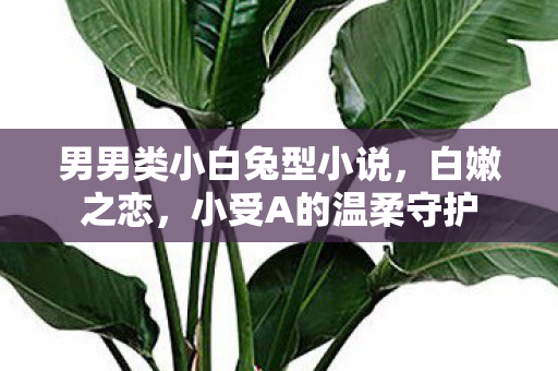 男男类小白兔型小说，白嫩之恋，小受A的温柔守护