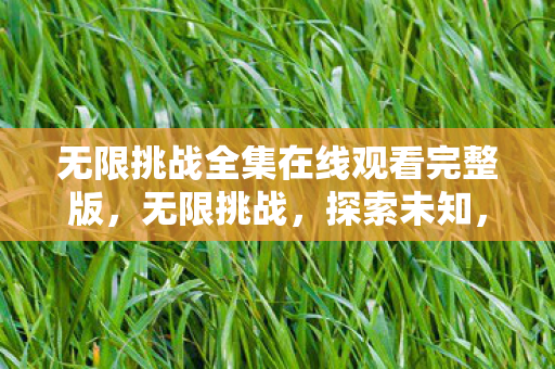 无限挑战全集在线观看完整版，无限挑战，探索未知，突破自我