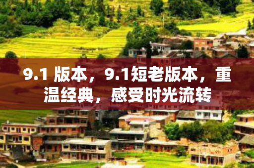 9.1 版本,9.1短老版本,重温经典,感受时光流转 9.1 版本,9.1短老版本,重温经典,感受时光流转