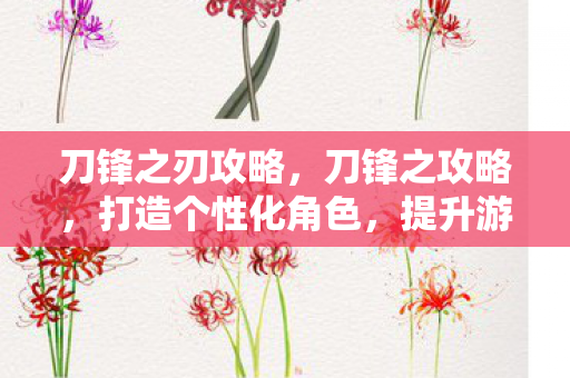 刀锋之刃攻略，刀锋之攻略，打造个性化角色，提升游戏战斗力的全面指南