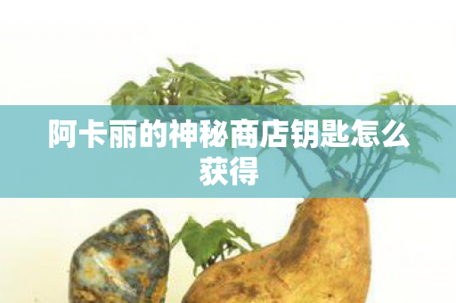 阿卡丽的神秘商店钥匙怎么获得
