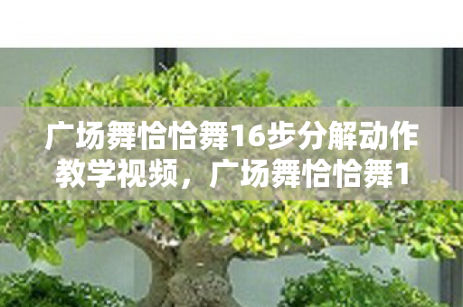 广场舞恰恰舞16步分解动作教学视频，广场舞恰恰舞16步，舞动生活的快乐旋律