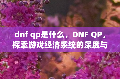 dnf qp是什么，DNF QP，探索游戏经济系统的深度与广度