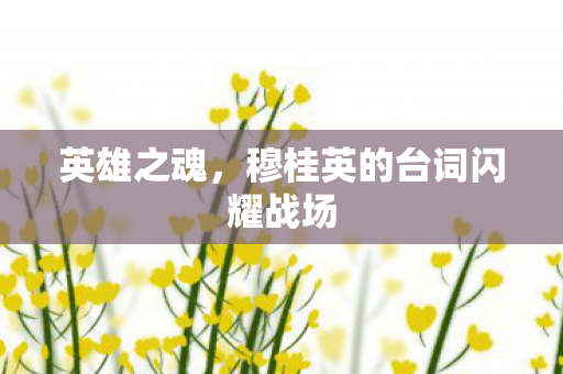 英雄之魂,穆桂英的台词闪耀战场 英雄之魂,穆桂英的台词闪耀战场