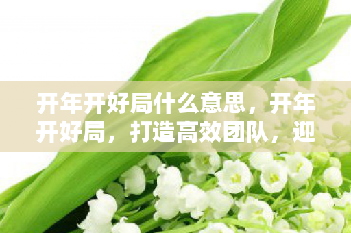 开年开好局什么意思，开年开好局，打造高效团队，迎接新挑战