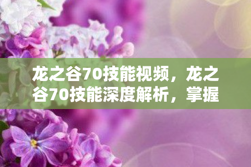龙之谷70技能视频，龙之谷70技能深度解析，掌握新技能，挑战新高度