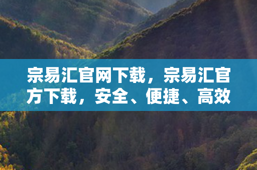 宗易汇官网下载，宗易汇官方下载，安全、便捷、高效的选择