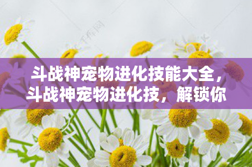 斗战神宠物进化技能大全，斗战神宠物进化技，解锁你的战斗伙伴新潜能