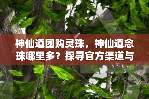神仙道团购灵珠，神仙道念珠哪里多？探寻官方渠道与游戏攻略