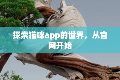 探索猫咪app的世界，从官网开始