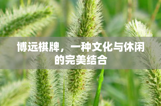 博远棋牌,一种文化与休闲的完美结合 博远棋牌,一种文化与休闲的完美结合