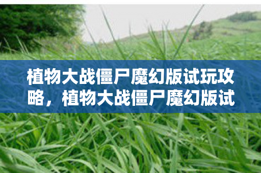 植物大战僵尸魔幻版试玩攻略，植物大战僵尸魔幻版试玩，探索全新策略塔防之旅