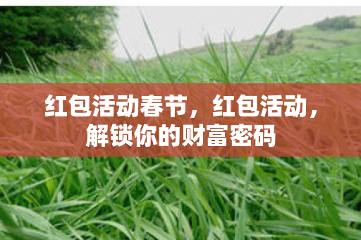 红包活动春节，红包活动，解锁你的财富密码