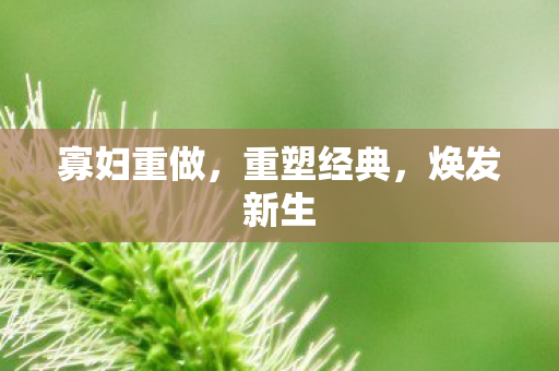 寡妇重做，重塑经典，焕发新生