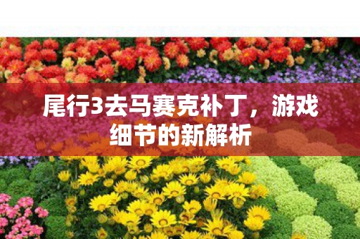 尾行3去马赛克补丁,游戏细节的新解析 尾行3去马赛克补丁,游戏细节的新解析