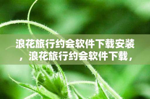 浪花旅行约会软件下载安装，浪花旅行约会软件下载，探索全新旅行交友体验