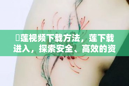 磂莲视频下载方法，莲下载进入，探索安全、高效的资源获取新途径