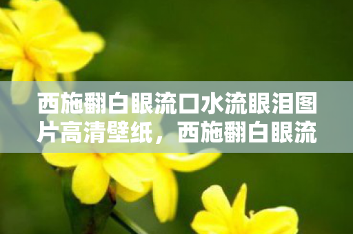 西施翻白眼流口水流眼泪图片高清壁纸，西施翻白眼流口水，历史与文化的另类解读