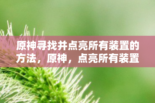 原神寻找并点亮所有装置的方法，原神，点亮所有装置，探索未知之旅