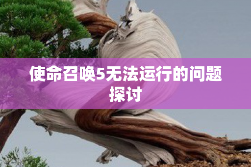 使命召唤5无法运行的问题探讨 使命召唤5无法运行的问题探讨