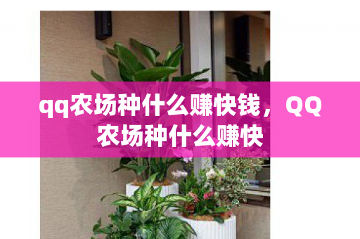 qq农场种什么赚快钱，QQ农场种什么赚快